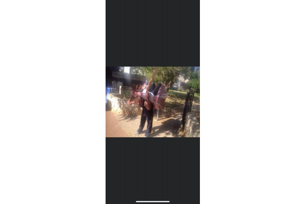 חיים הובלות