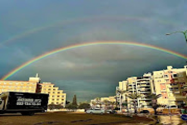 בית ההובלות - הובלת דירות בלבד