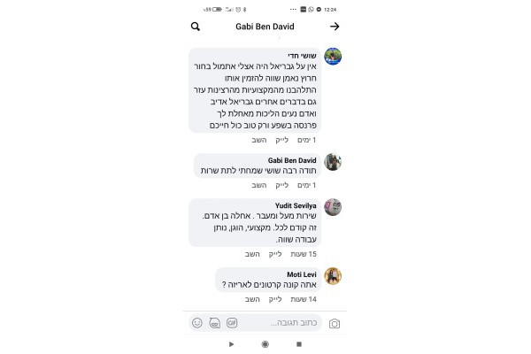 גבריאל הובלות
