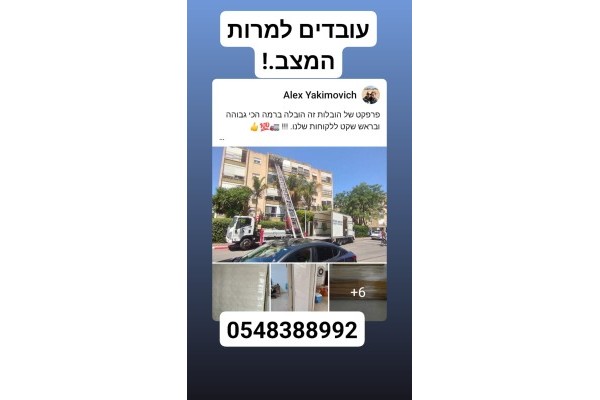 פרפקט של הובלות