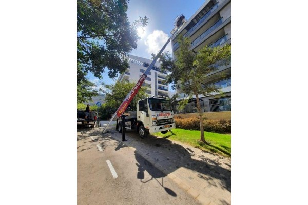 אמריקן הרמות 300 שח לשעה