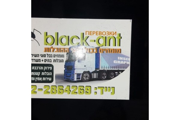 Black Ant הובלות